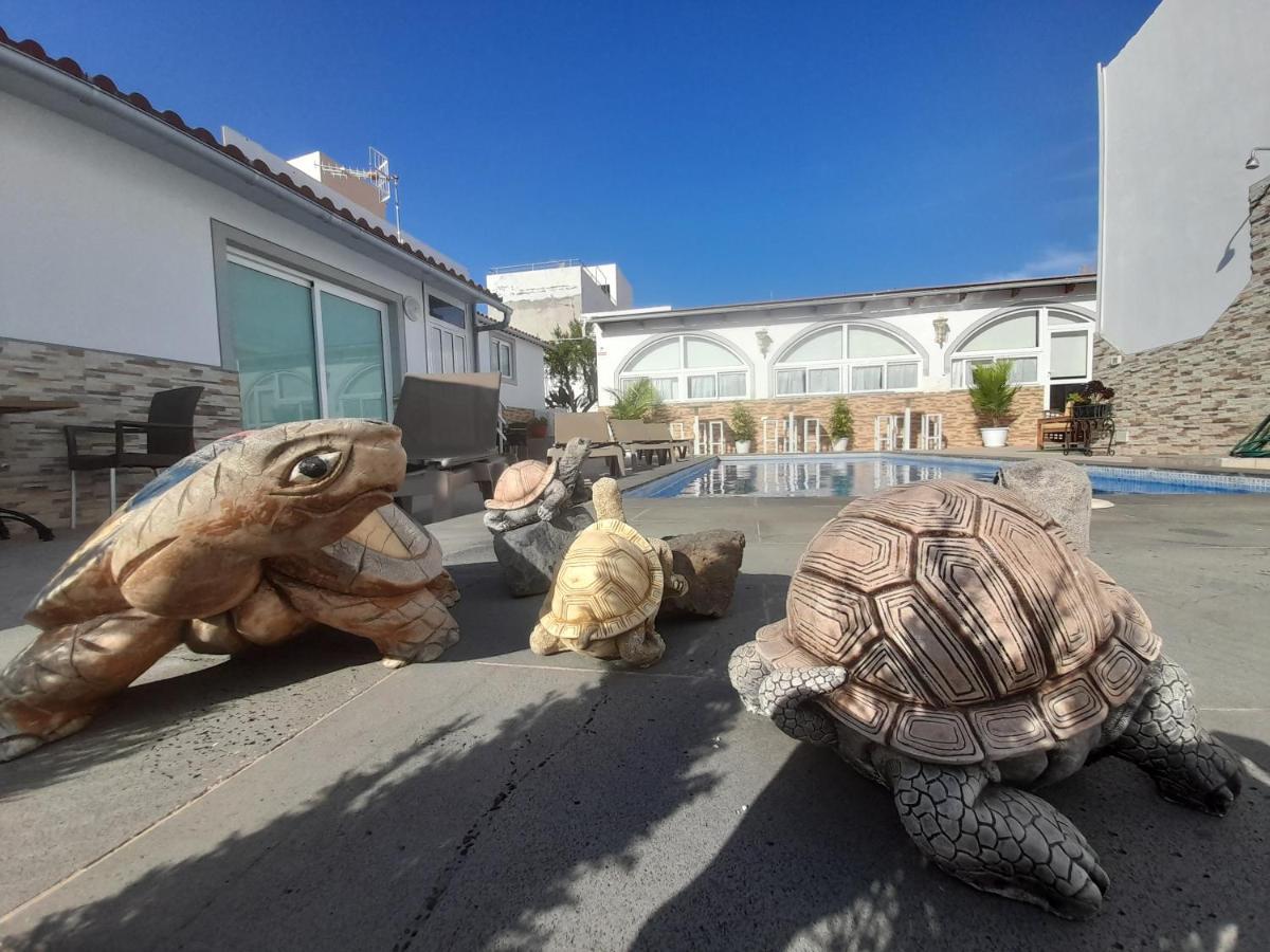 Tenerife Little Village S 산이시드로 외부 사진