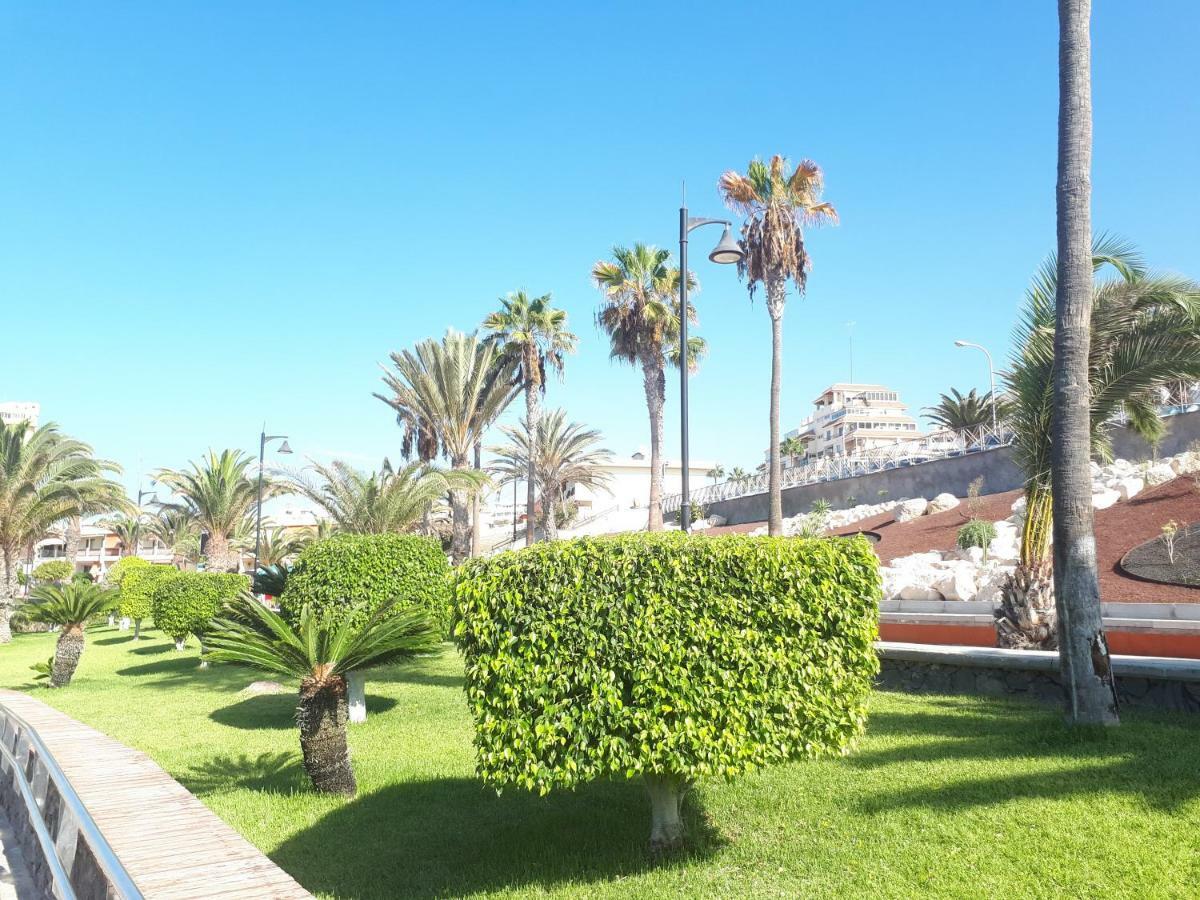 Tenerife Little Village S 산이시드로 외부 사진